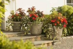 Read more about the article How to Choose the Right Spring Bulbs