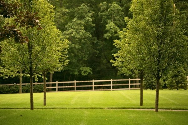 Estate_Care_OBrien_Allee_-_Edited (1)